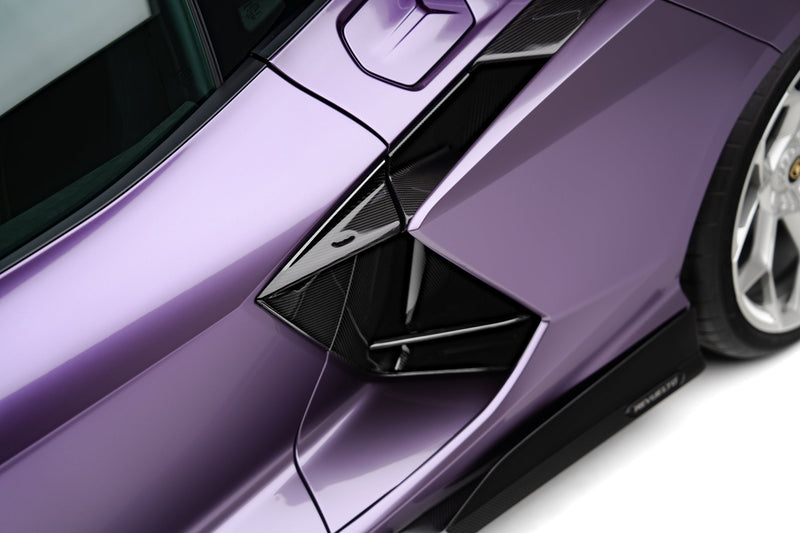 Novitec Lamborghini Revuelto Inserts side wall visible karbon
