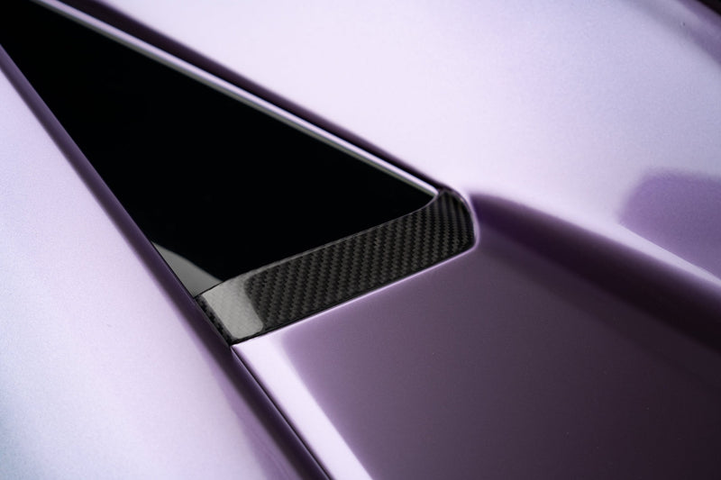 Novitec Lamborghini Revuelto bak flaps visible karbon