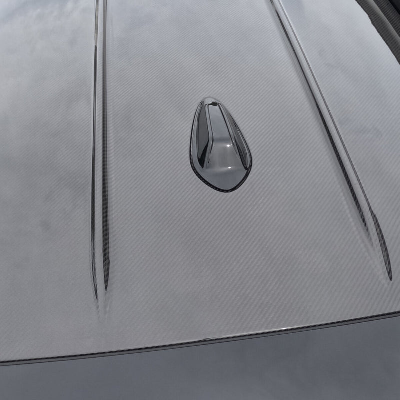 Alpha-N BMW G81/G21 M3/3 Series karbon Roof Gloss