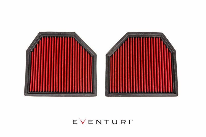 Eventuri BMW F8X M3/M4 Panel Filter Pair