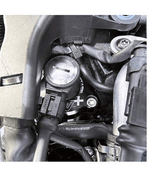 GFB DV+ T9388 montert