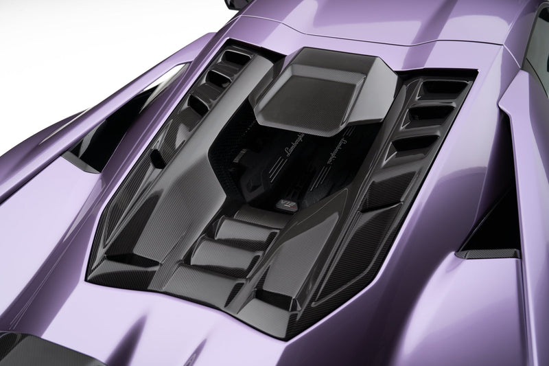 Novitec Lamborghini Revuelto bak lid visble karbon