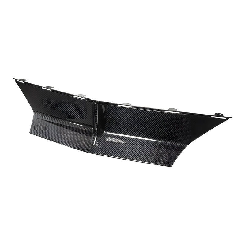 Novitec Lamborghini Revuelto Center part (original Look) visible karbon