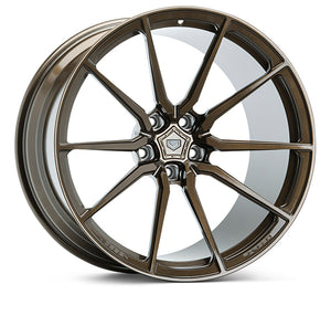 Gloss Bronze