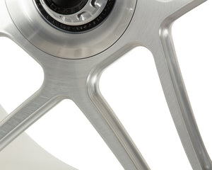 Vossen GEN-02