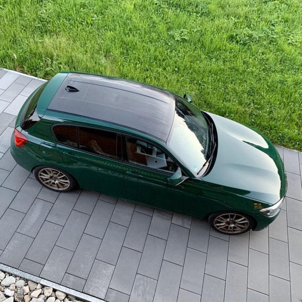 Alpha-N BMW F20/F21 1 Series karbon Roof