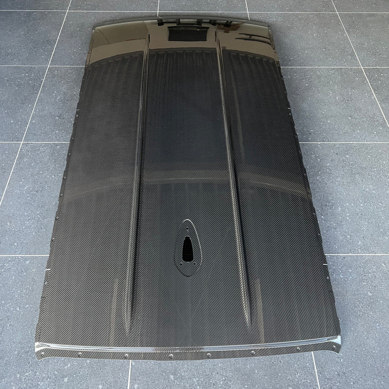 Alpha-N BMW F20/F21 1 Series karbon Roof