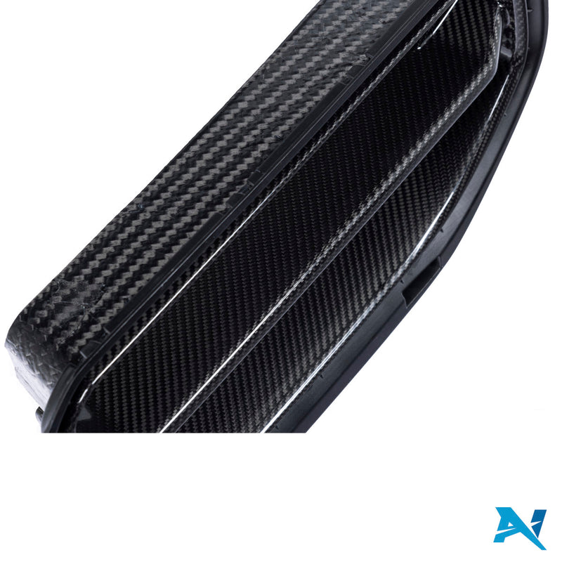 Alpha-N BMW M2 G87 karbon Grill "Kidney"